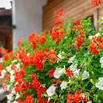 Am Bauernhof 1 Und 2 Appartement Alpbach