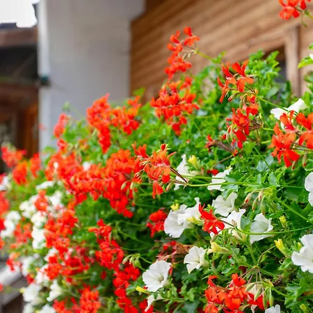 Am Bauernhof 1 Und 2 Apartamento Alpbach