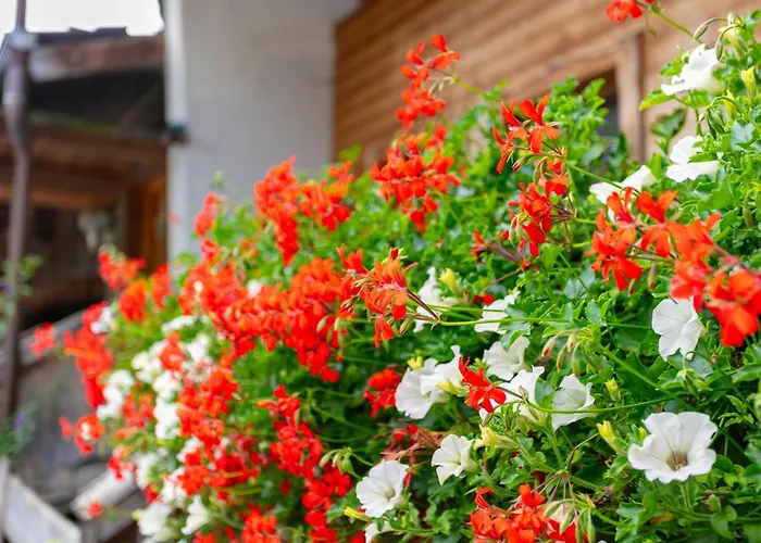 Am Bauernhof 1 Und 2 アパート アルプバッハ